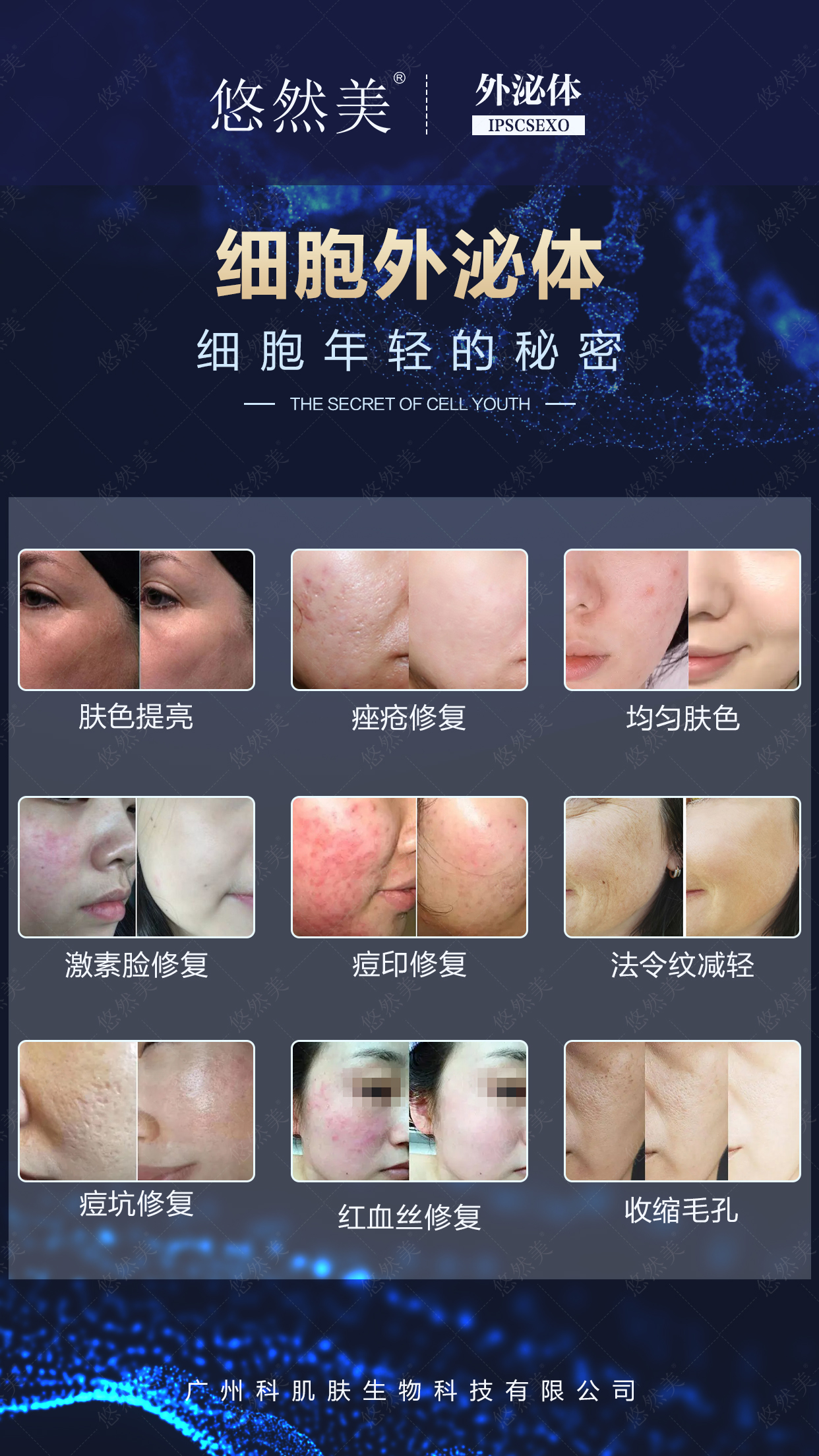 悠然美品牌外泌體財(cái)富峰會(huì) 悠然美品牌外泌體財(cái)富峰會(huì)