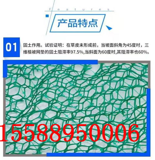 陽江三維植被土工網墊 生態護坡的優選材料