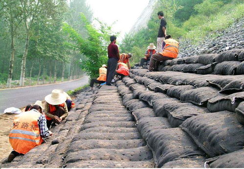 沁陽(yáng)優(yōu)質(zhì)三維土工網(wǎng)墊廠家 貨源充足，服務(wù)周到