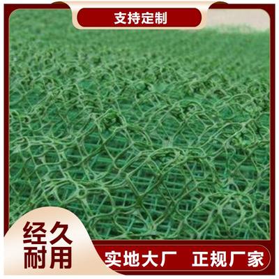 德州、青島、日照及山東三維土工網(wǎng)墊的應(yīng)用與優(yōu)勢(shì)